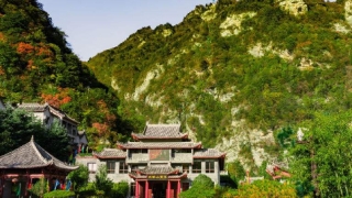 辟邪的佛珠种类 这5种佛珠别错过