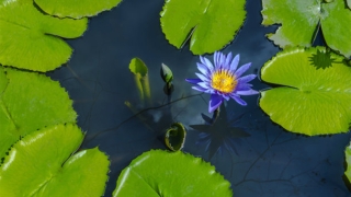 27岁一直赚不到钱财运特别差 这3种方法帮助你提升财运