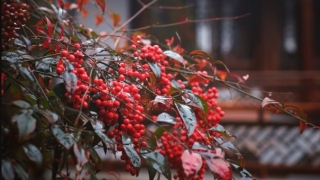 婴灵缠身的表现,婴灵会对我们有哪些不利的影响,应该要怎么化解