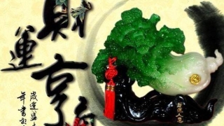 打开财库好吗/财库文件