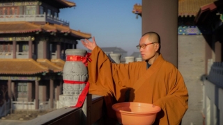 很多人不知道狗牙能够辟邪,狗牙辟邪需要注意的问题分享