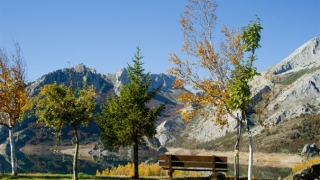 有一种久病不愈 不是医生就能医治的