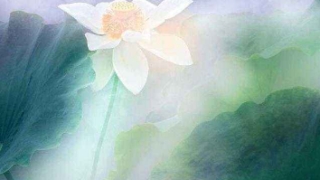 梦到打掉的孩子来找我，这种就是需要超度的节