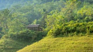 了解婴灵 为何说堕胎后不渡亡的婚姻往往已失败告终