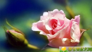 没有手相财库的人就一定没有钱吗