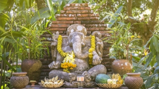 佛教驱魔辟邪方法,帮我们解决个只种灾祸