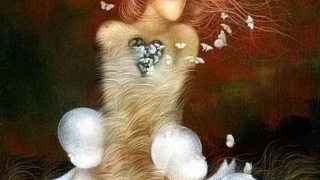 有关婴灵的问题，希望在此给大家一个简单的认知