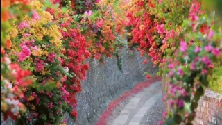 噩梦连连是怎么化解,来看每天做噩梦是怎么回事