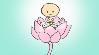 上海哪个寺庙可以超度婴灵 ， 超度婴灵供养多久