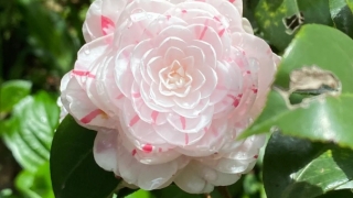 看手相的说我事业容易受阻怎么办,教你3个化解方法,事业财运旺