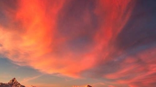 【佛学问答】:如何超度自杀的亲人,家中的叔父自杀,要如何为他超度呢?