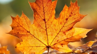 倒霉破解改运的方法