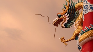 今天运势每日一卦，中国人自古以来的执着