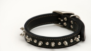 请五鬼运财符风险很大，这些事情要注意了