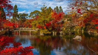 卧室窗帘颜色风水大有讲究,快来了解一下