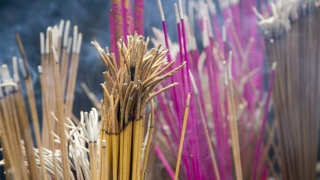 担心婴灵缠身？三峰道长有超度婴灵的方法