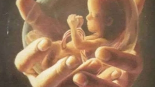 打胎后基本都会分手,很多人都是这样