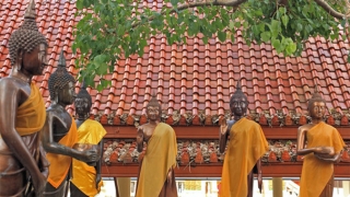 正规阴债查询表填写,还阴债数目很重要