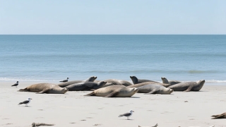 运气不好的人都有这样的特征 好运总离他们很远