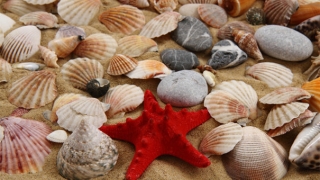 消灾解厄方法什么情况需开财库补财库