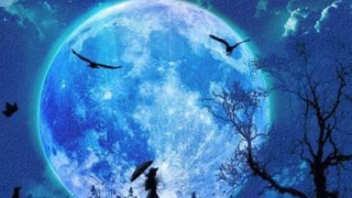 我想对我未出世的孩子道歉,跟他说声对不起