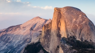 如何给狗渡亡 给狗渡亡的好处