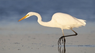 倒霉转运民间秘法,让你2021年一直旺