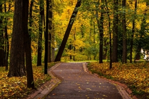 为什么要做渡亡 佛教渡亡的作用