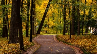 为什么要做渡亡 佛教渡亡的作用