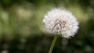 超度婴灵费用究竟是多少？免费的靠谱吗？