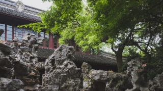 流年犯太岁会让你职场不顺 事业受阻