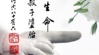 婴灵的哭泣：婴灵是怎么形成产生的？