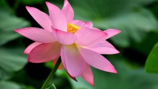 还了阴债有哪些感应器 /自己还阴债还是让仙家帮你还