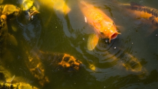 人的财运为什么差 这两个方面的原因是关键