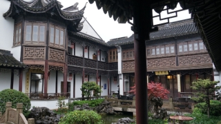 犯太岁年事业干脆受阻吗？这些好方法能帮到你