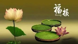 堕胎后婴灵跟着的征兆 经常做噩梦 身上常常会感