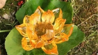 堕胎婴灵宝宝被超度图片,真的有报应吗，怎么为