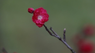 噩梦连连怎么调理,先来看我们为何会噩梦连连,才能进行化解