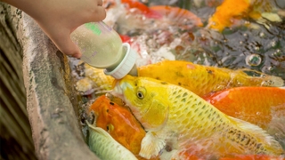 做完补财库法事之后财运得到很大的改变