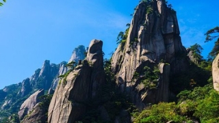 投胎成猪案例 平时积德行善才不会变成畜生