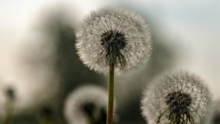 没有超度亡灵转世投胎，对于我们自身的影响很大