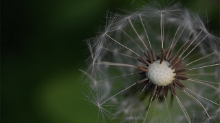 人流对男人的因果报应影响
