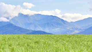 噩梦连连怎么都醒不过来怎么回事,来看做噩梦是如何化解了