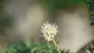 事业受阻 佛法化解之法，事业不顺化解方法的重要性