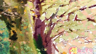 冲太岁是好还是不好_冲太岁会特别倒霉？