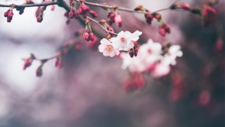 阴债文表填写,让我们的人生更加顺利