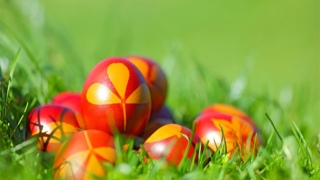 和合法事适合几类人要开补财库原因