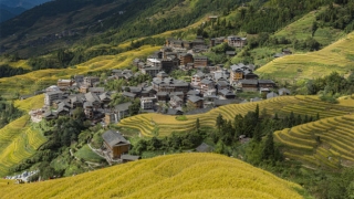 久病不愈体虚怎么办,你要分清是真懒还是体虚