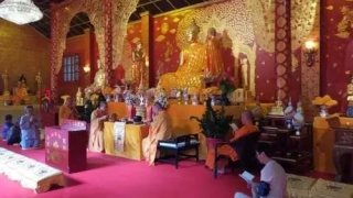 过来告诉你改运气最快的方法