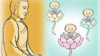 不要随便还阴债的说法对吗 , 杭州哪个寺庙超度婴灵